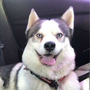 Meet your Posher, Willie